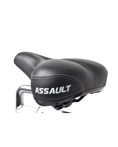 Assault AirBike Assault AirBike